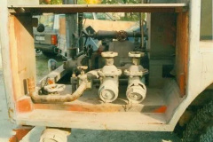 6979824-1920w