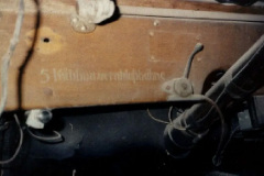 6979832-1920w